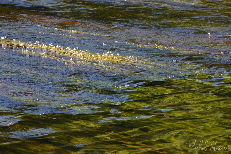 6D2 0200 - 6D2_0200.jpg 6D2_0200.jpg